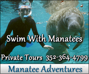 Manatee Tours